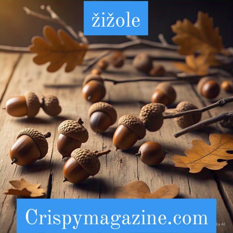zizole-jujube-the-ancient-superfruit-with-modern-health-benefits